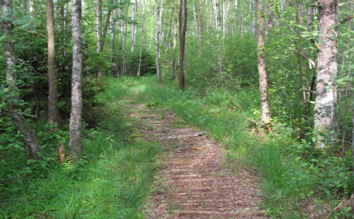 20_Spigino takas (2).jpg